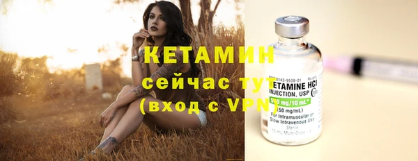 шишки Белая Холуница