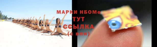 PSILOCYBIN Бежецк