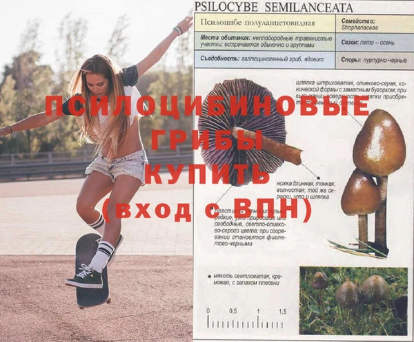 герыч Новокубанск