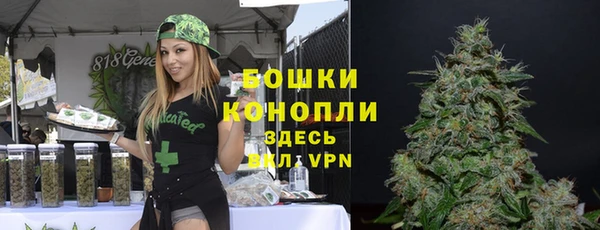 MESCALINE Новозыбков