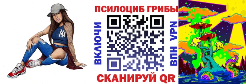Псилоцибиновые грибы GOLDEN TEACHER  МЕГА как войти  Новосибирск 