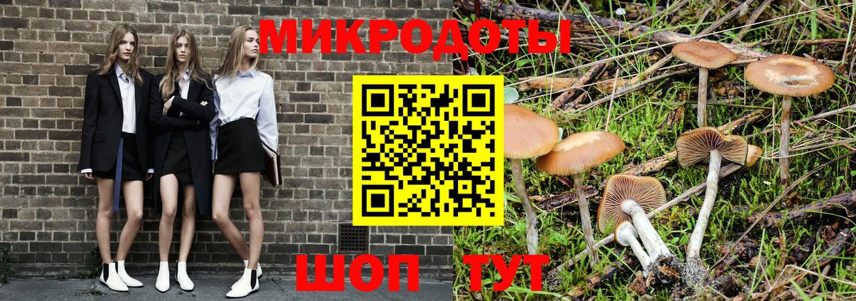 Новосибирск  Галлюциногенные грибы Cubensis  Вход с VPN 